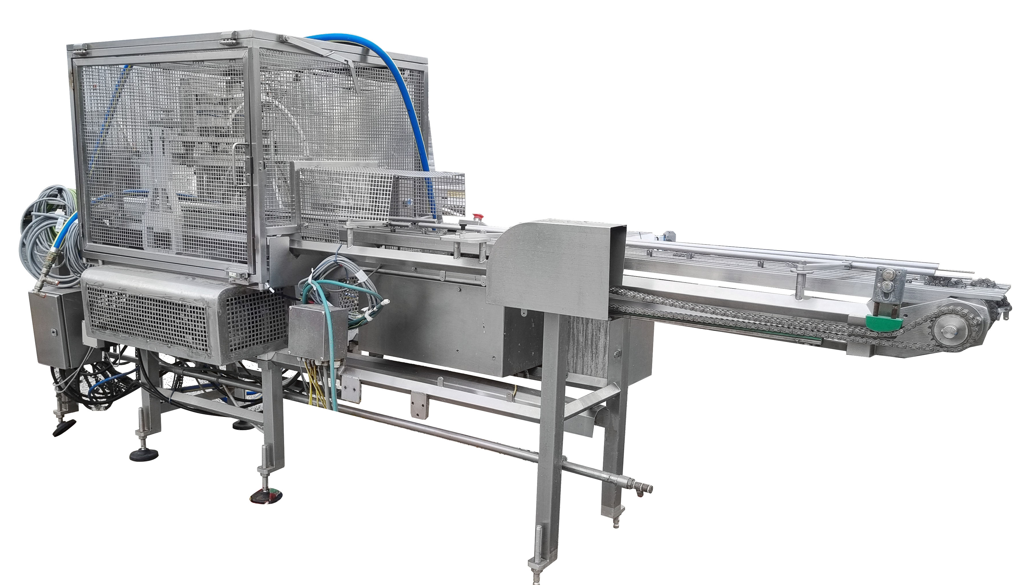 G. MONDINI Infeed Conveyor