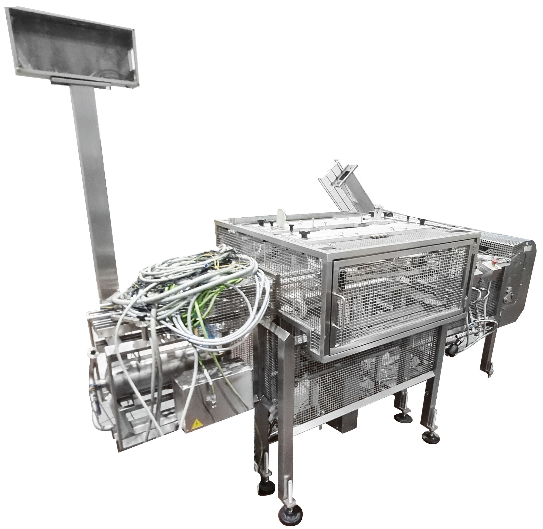 G. MONDINI Infeed Transfer Conveyor